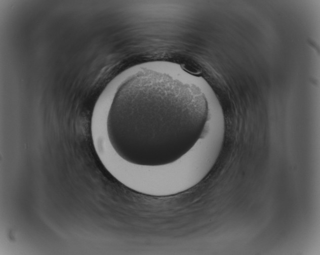 X0000092330035200710121543