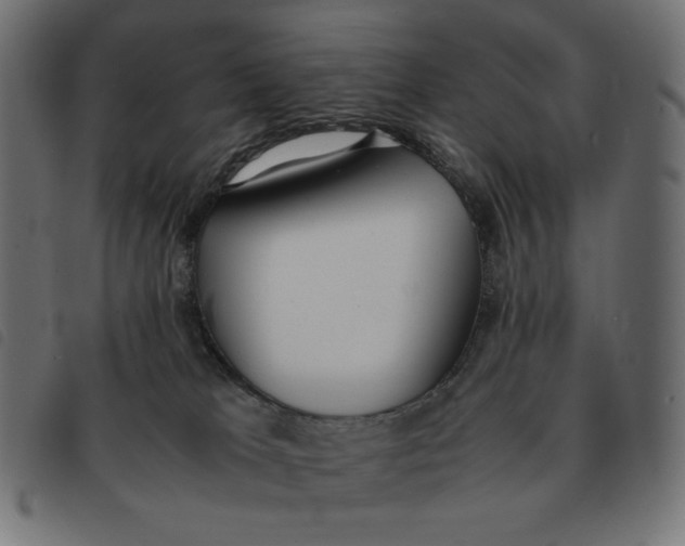 X0000092330037200710121543