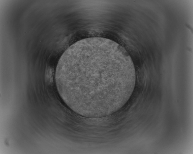 X0000092330038200710121543