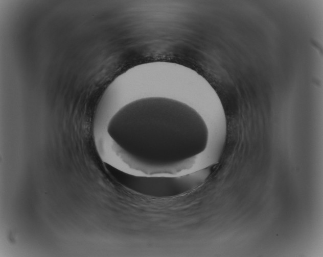 X0000092330039200710121543