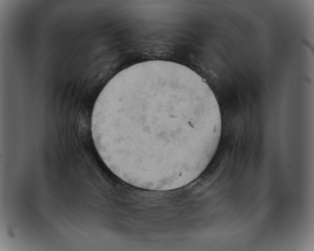 X0000092330040200710121543