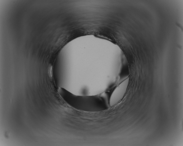 X0000092330041200710121543