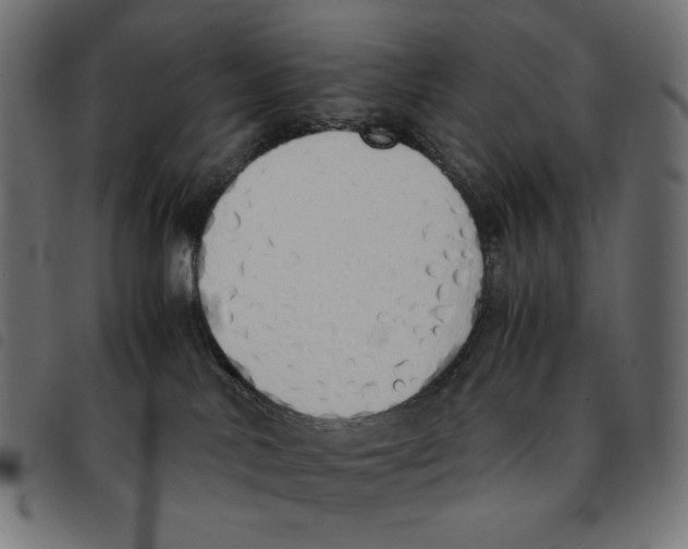 X0000092330042200710121543