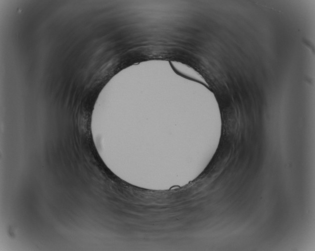 X0000092330044200710121543