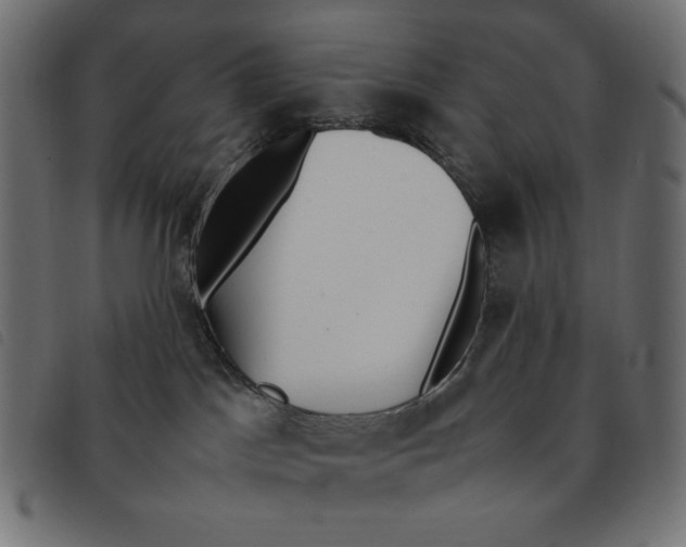 X0000092330045200710121543