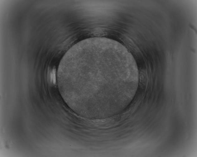 X0000092330046200710121543