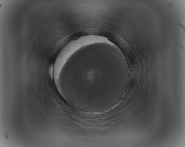 X0000092330047200710121543