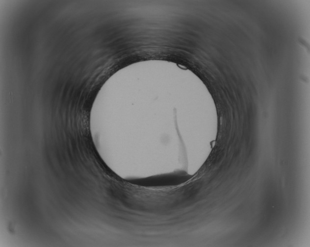 X0000092330048200710121543
