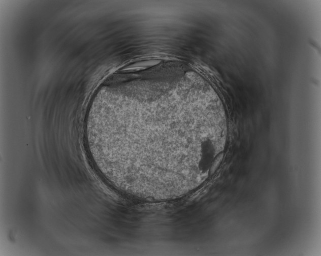 X0000092330049200710121542