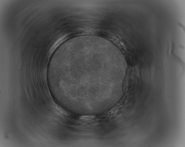 X0000092330051200710121542