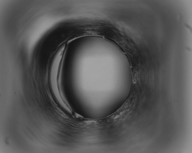 X0000092330052200710121542