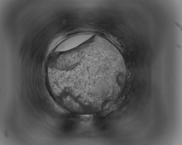 X0000092330053200710121542