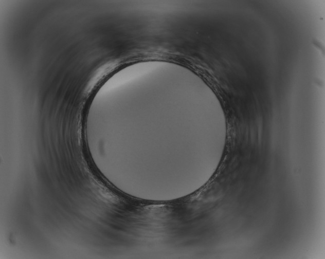 X0000092330054200710121542
