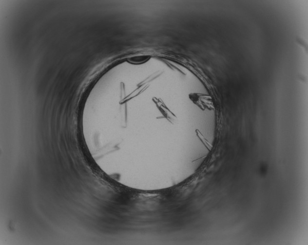 X0000092330055200710121542