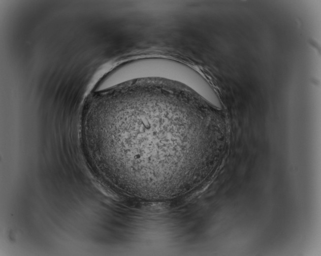 X0000092330056200710121542