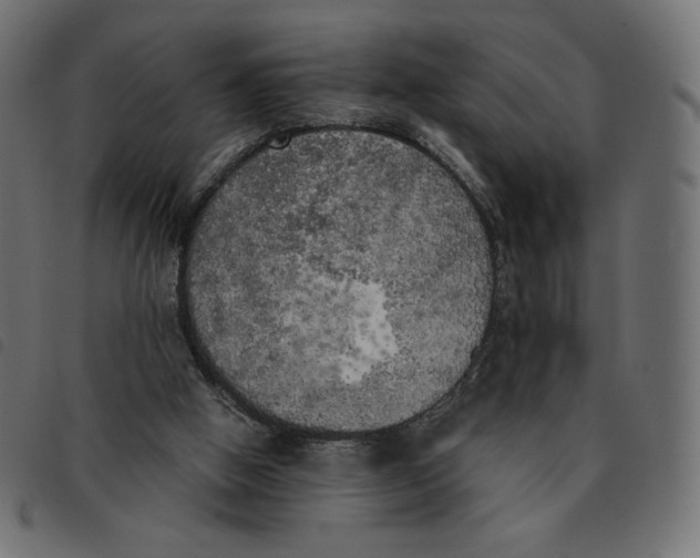 X0000092330058200710121542