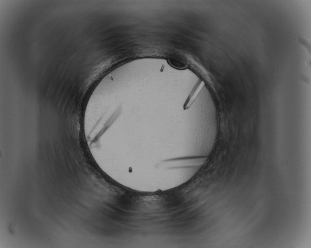 X0000092330059200710121542