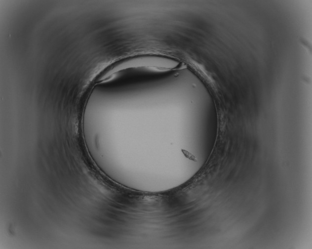 X0000092330060200710121542