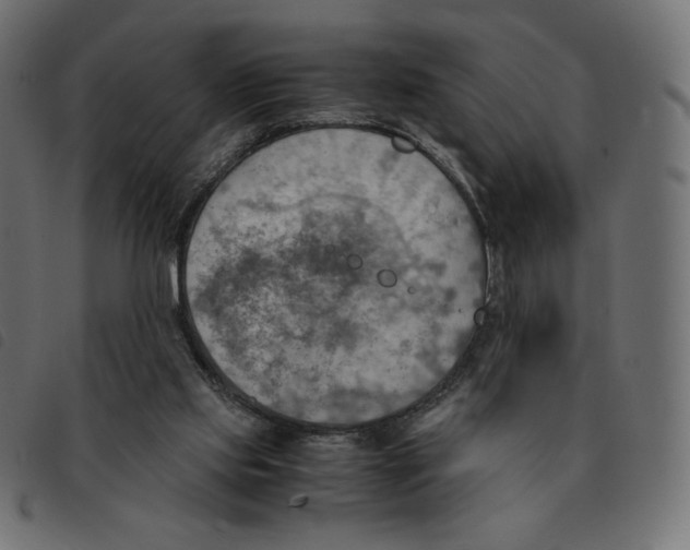 X0000092330061200710121542