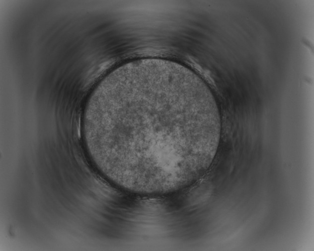 X0000092330062200710121542