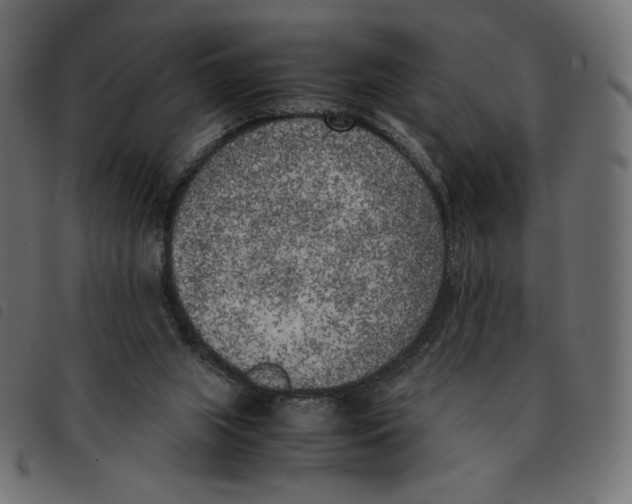 X0000092330063200710121542