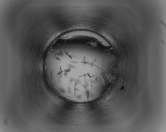 X0000092330064200710121542