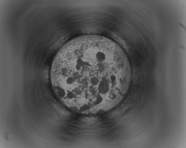 X0000092330065200710121542