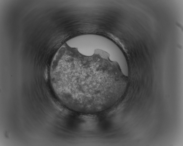 X0000092330069200710121542