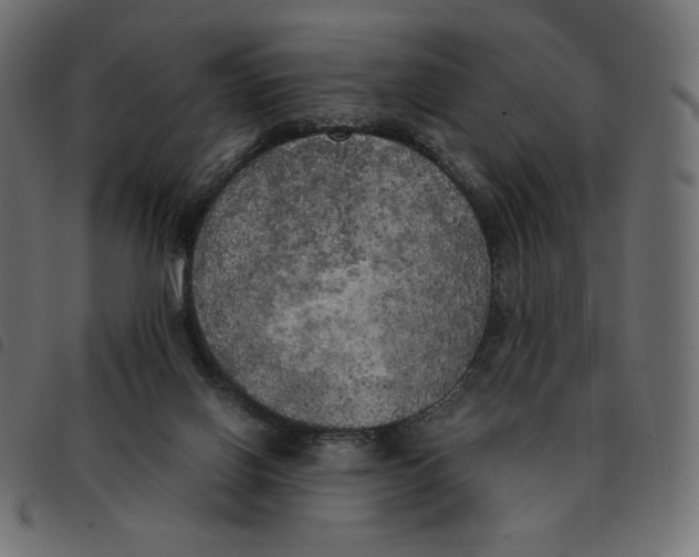 X0000092330070200710121542