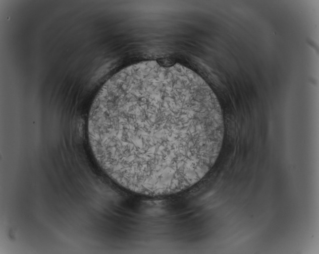 X0000092330071200710121542