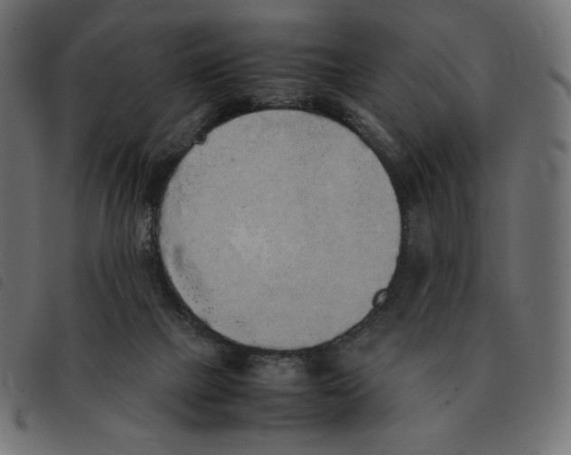 X0000092330073200710121543