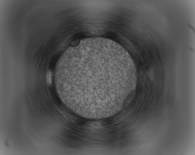 X0000092330075200710121543