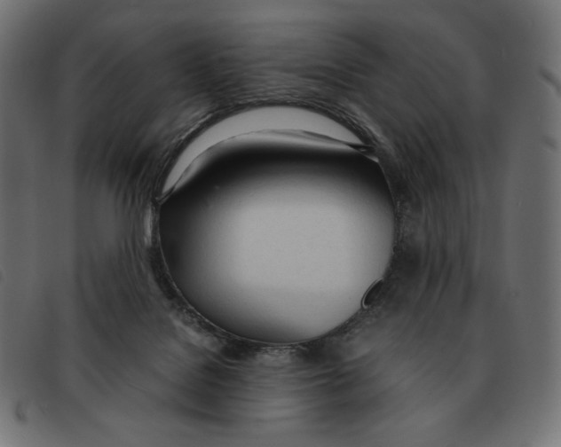 X0000092330076200710121543