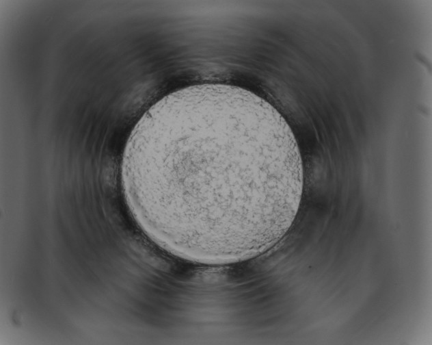 X0000092330078200710121543
