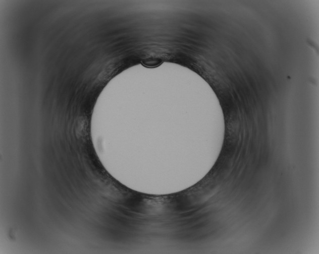X0000092330079200710121543