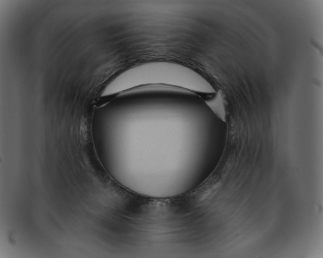 X0000092330080200710121543