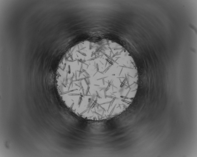 X0000092330081200710121543