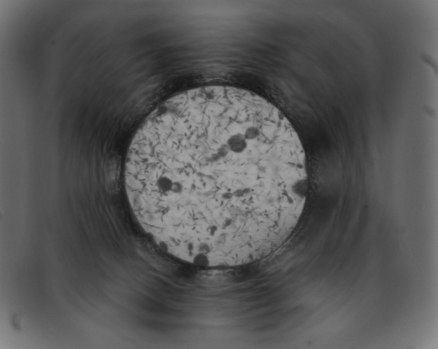 X0000092330082200710121543