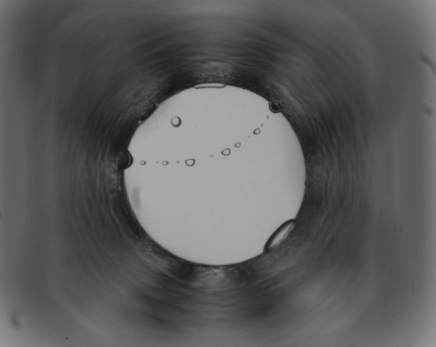 X0000092330083200710121543