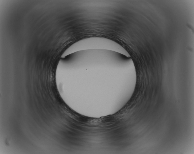 X0000092330084200710121543