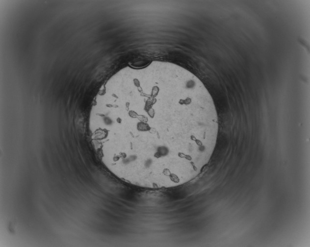 X0000092330086200710121543