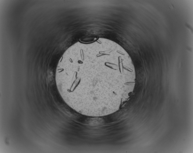 X0000092330087200710121543