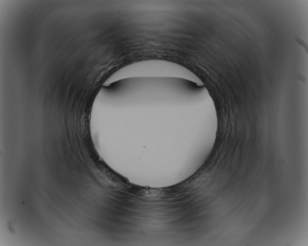 X0000092330088200710121543