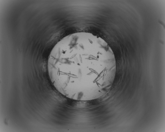 X0000092330090200710121543