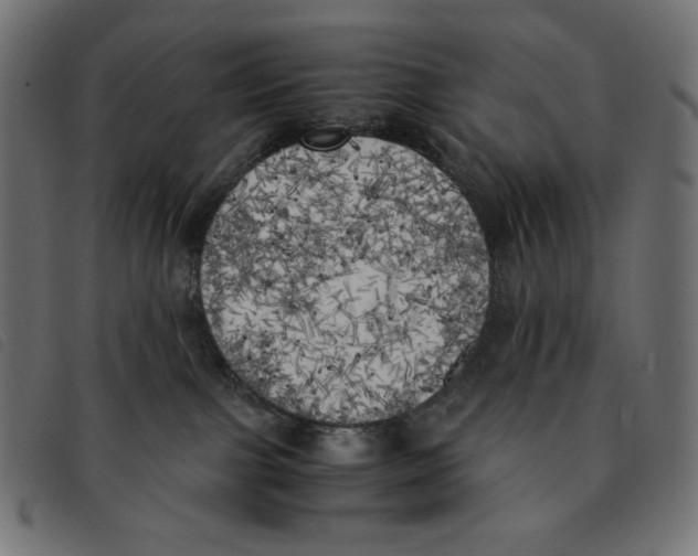 X0000092330091200710121543