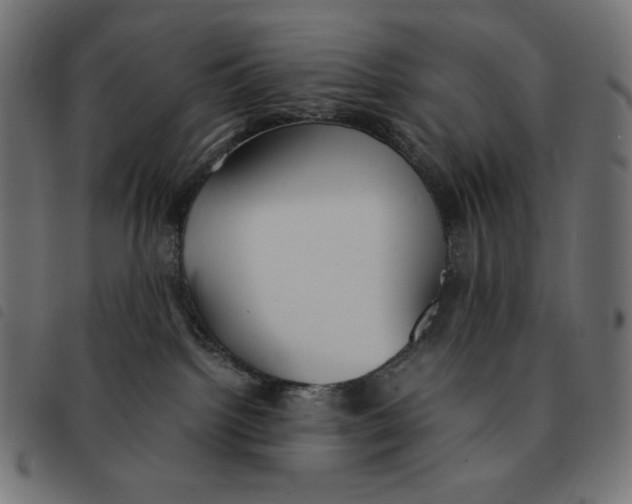 X0000092330092200710121543