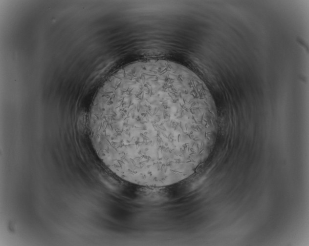 X0000092330093200710121543