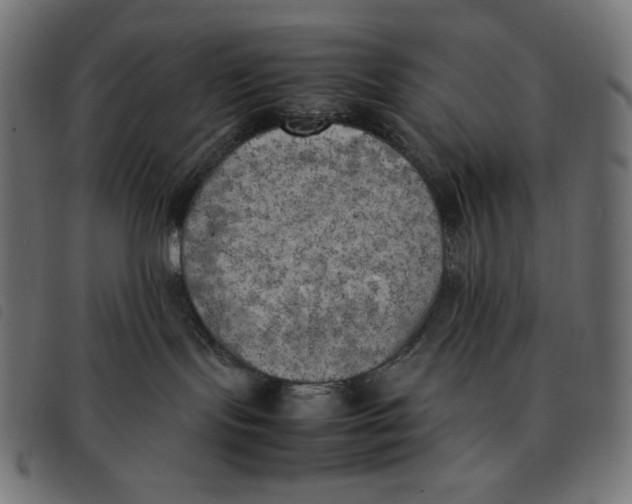 X0000092330095200710121543