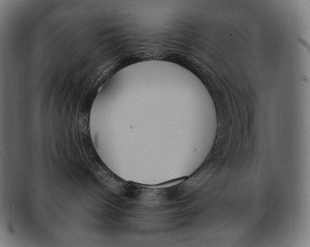 X0000092330096200710121543