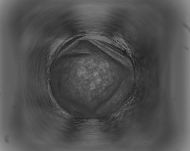 X0000092330097200710121542